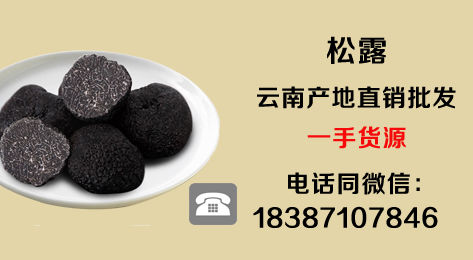 2019松露價格