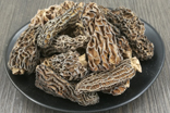 干野生羊肚菌價格