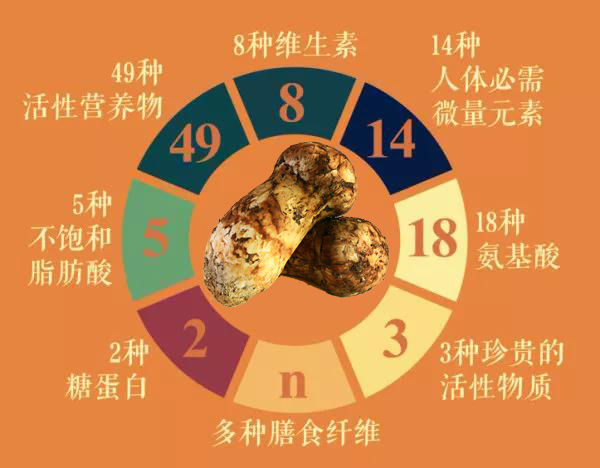 松茸的營養(yǎng)價值