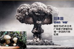松茸有抗癌抗腫瘤的功效是真的嗎？日本專家給出答案