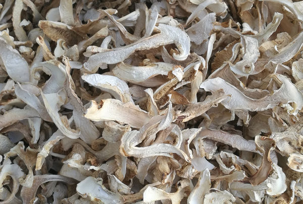 長(zhǎng)白干松茸多少錢一斤