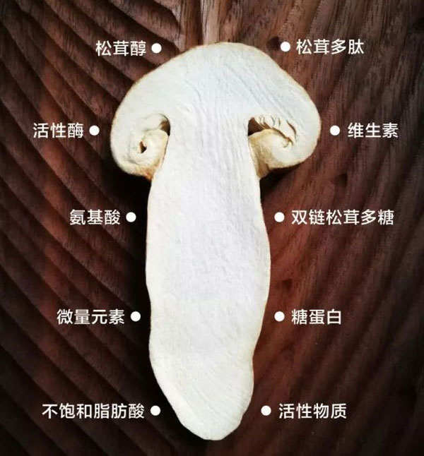 新鮮松茸原味湯的營(yíng)養(yǎng)價(jià)值和功效作用