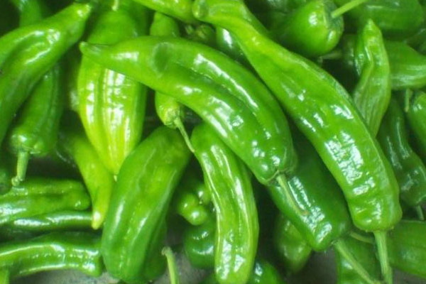 新鮮松茸炒青椒的營(yíng)養(yǎng)價(jià)值和功效作用