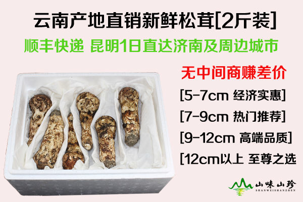 濟(jì)南松茸價格多少錢一斤，濟(jì)南哪里有松茸賣