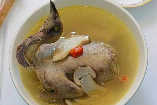 新鮮松茸鴿子湯怎么做好吃