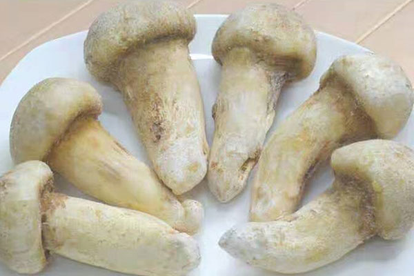 新鮮松茸冷凍一年后能吃嗎