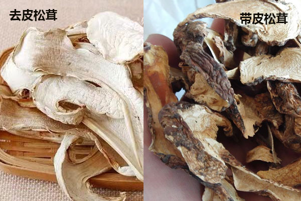松茸去皮沒(méi)營(yíng)養(yǎng)了嗎