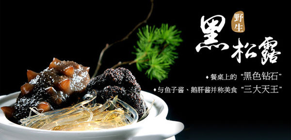 黑松露是什么