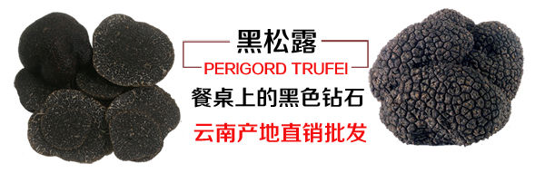 黑松露批發(fā)