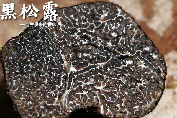 松露名字的由來(lái)
