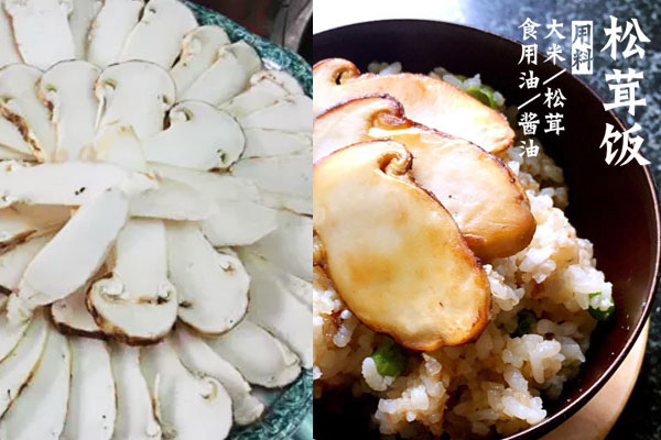 中式松茸燜飯的家常做法以及竅門