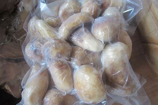 新鮮松茸可以用太陽曬干嗎