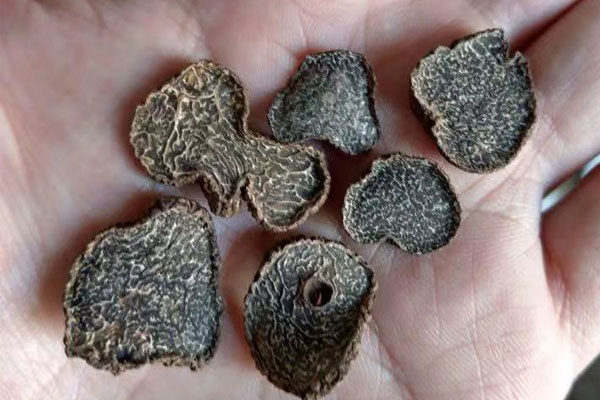 上海干片黑松露價格