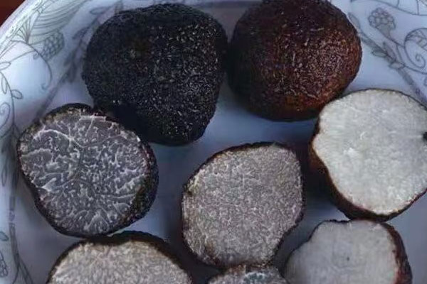 重慶新鮮黑松露價格