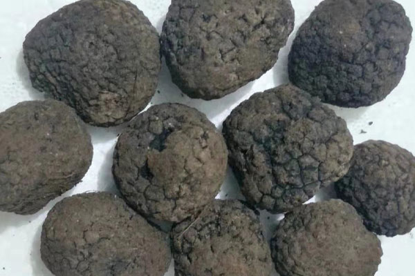 法國新鮮黑松露主要出產(chǎn)地