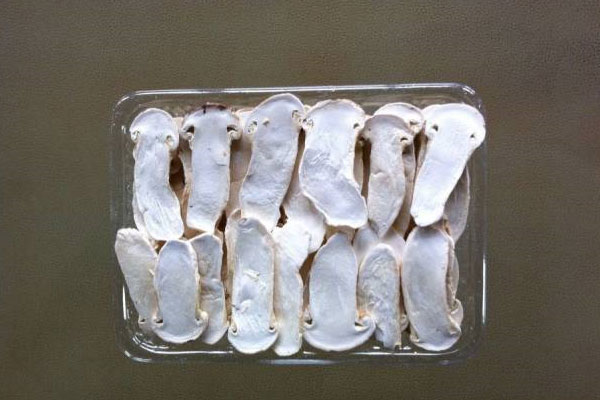 南京冰凍松茸價格