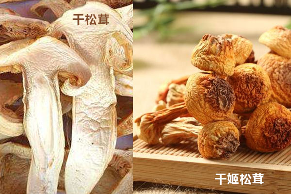 姬松茸和松茸哪個(gè)的營(yíng)養(yǎng)價(jià)值更高