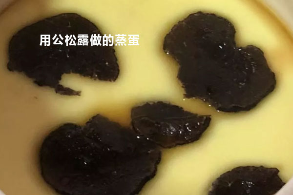 公松露營(yíng)養(yǎng)價(jià)值高還是母松露營(yíng)養(yǎng)價(jià)值高呢