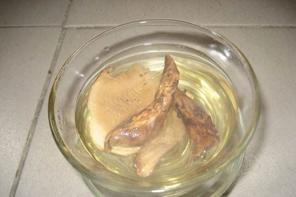 松茸茶的做法