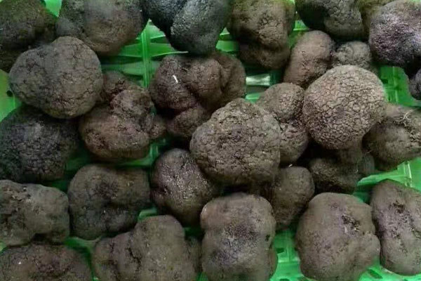 鮮蝦松露湯的營養(yǎng)價(jià)值與功效作用