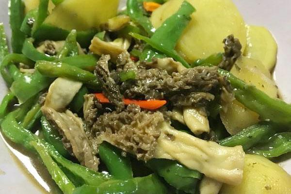 青椒炒羊肚菌的功效作用與營養(yǎng)價值
