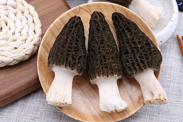 新鮮種植羊肚菌多少錢(qián)一斤