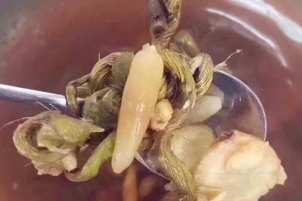 羊肚菌麥冬石斛瘦肉湯的功效作用與營養(yǎng)價值