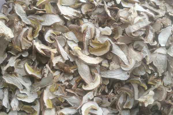 干美味牛肝菌