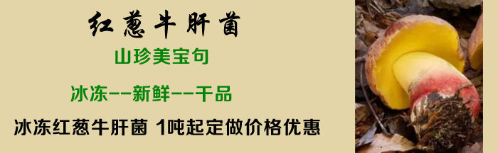 紅蔥牛肝菌