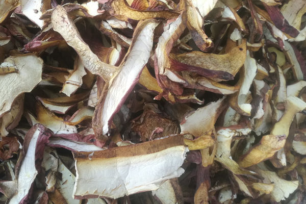 干紅蔥牛肝菌價(jià)格