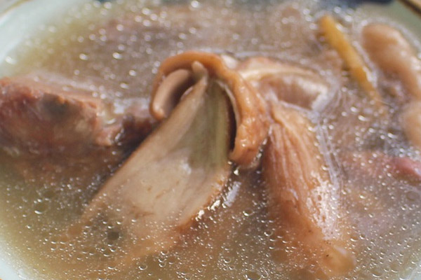干牛肝菌骨頭湯的功效作用與營(yíng)養(yǎng)價(jià)值