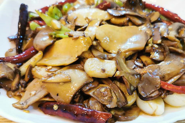 干椒白牛肝菌的做法，白叢牛肝菌怎么吃最好