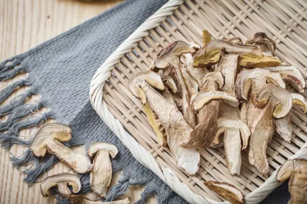 牛肝菌怎么烘干，新鮮牛肝菌烘干方法有哪些