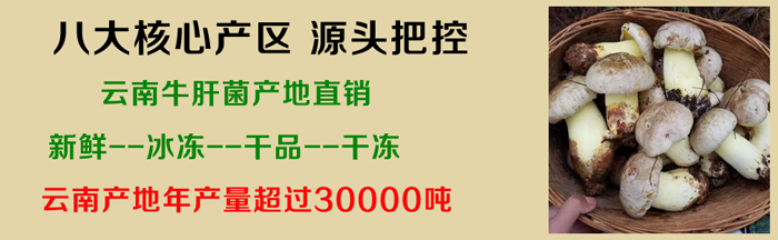 牛肝菌價(jià)格