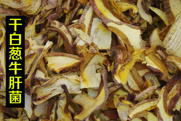 干白蔥牛肝菌價格