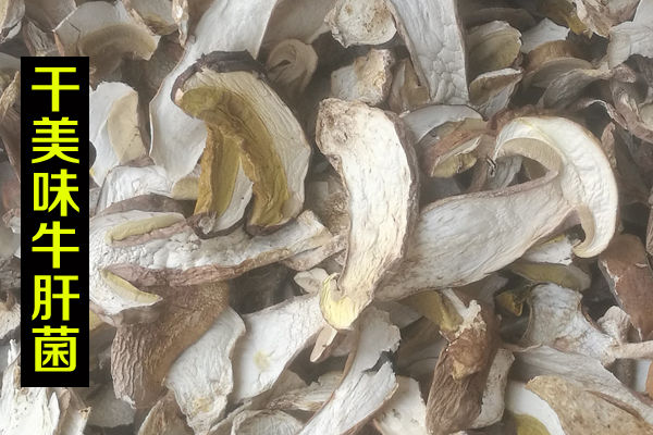 干牛肝菌價(jià)格-野生白黃黑紅乳干片牛肝菌多少錢一斤