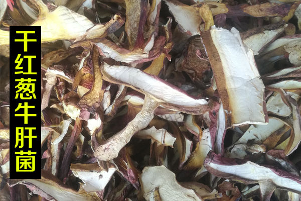 干紅蔥牛肝菌價格