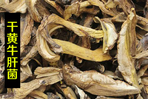 干黃牛肝菌價格
