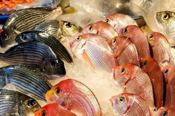 如何科學冷凍食物
