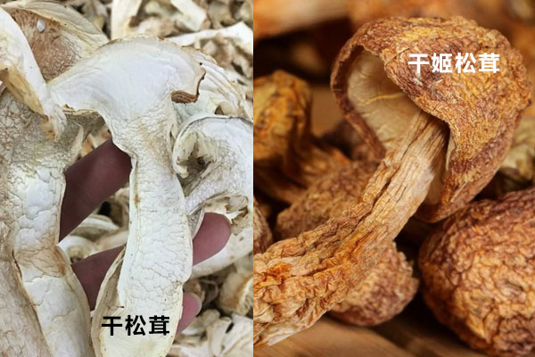 干松茸發(fā)白是霉變嗎，干松茸和干姬松茸的區(qū)別