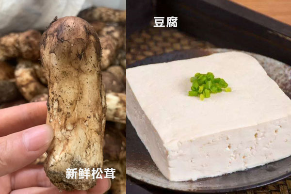松茸能和豆腐一起燉嘛，新鮮的松茸能炒著吃嗎