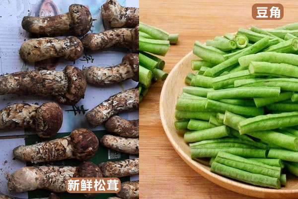 松茸和豌豆能一起燉嗎，松茸可以和豆角一起燉嗎