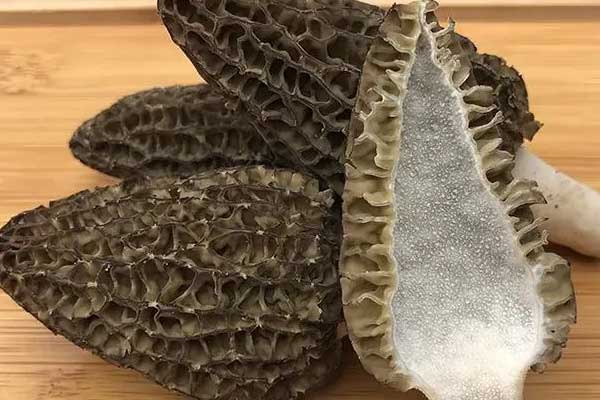 尿酸高的人可以吃羊肚菌嗎，豬肚燉羊肚菌可以吃嗎