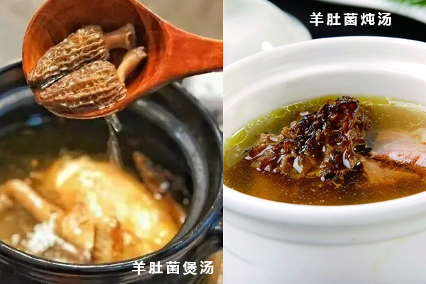 羊肚菌湯隔水燉好還是直接煲湯好，新鮮羊肚菌可以冷凍嗎