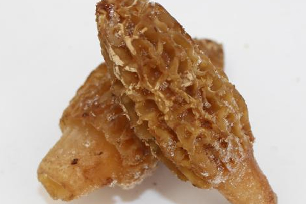 羊肚菌冷凍一個(gè)月還能吃嗎，怎么分辨冷凍羊肚菌是否變質(zhì)