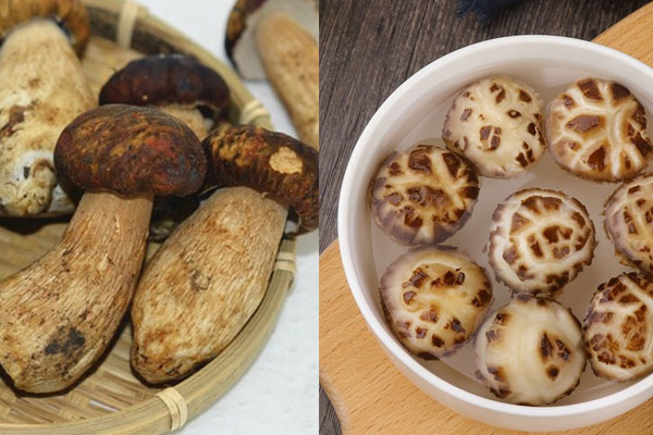 白牛肝菌和香菇哪個(gè)營(yíng)養(yǎng)高 白牛肝菌和香菇哪個(gè)營(yíng)養(yǎng)高