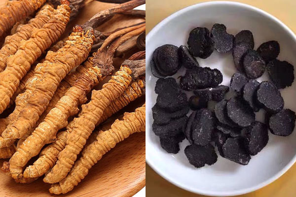 黑松露可以和蟲(chóng)草一起泡酒嗎 黑松露可以和蟲(chóng)草一起泡酒嗎