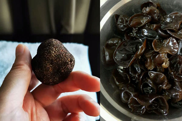 松露可以和木耳一起吃嗎，松露可以和金針菇一起吃嗎