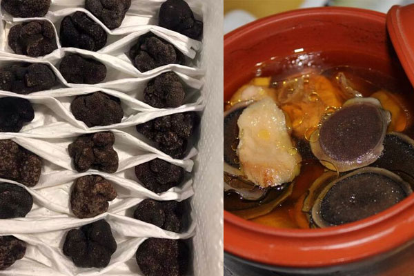 松露和鹿茸可以一起燉湯嗎，松露鹿茸湯怎么做好吃