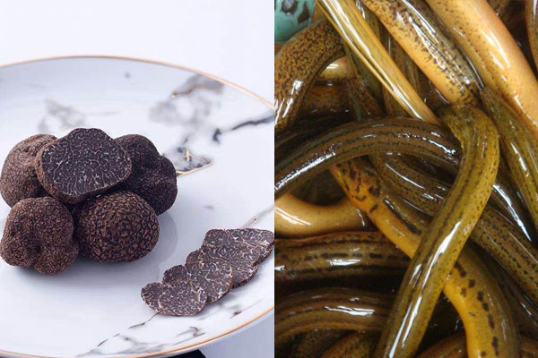 松露可以和鱔魚(yú)一起吃嗎，松露能和草菇煮湯嗎